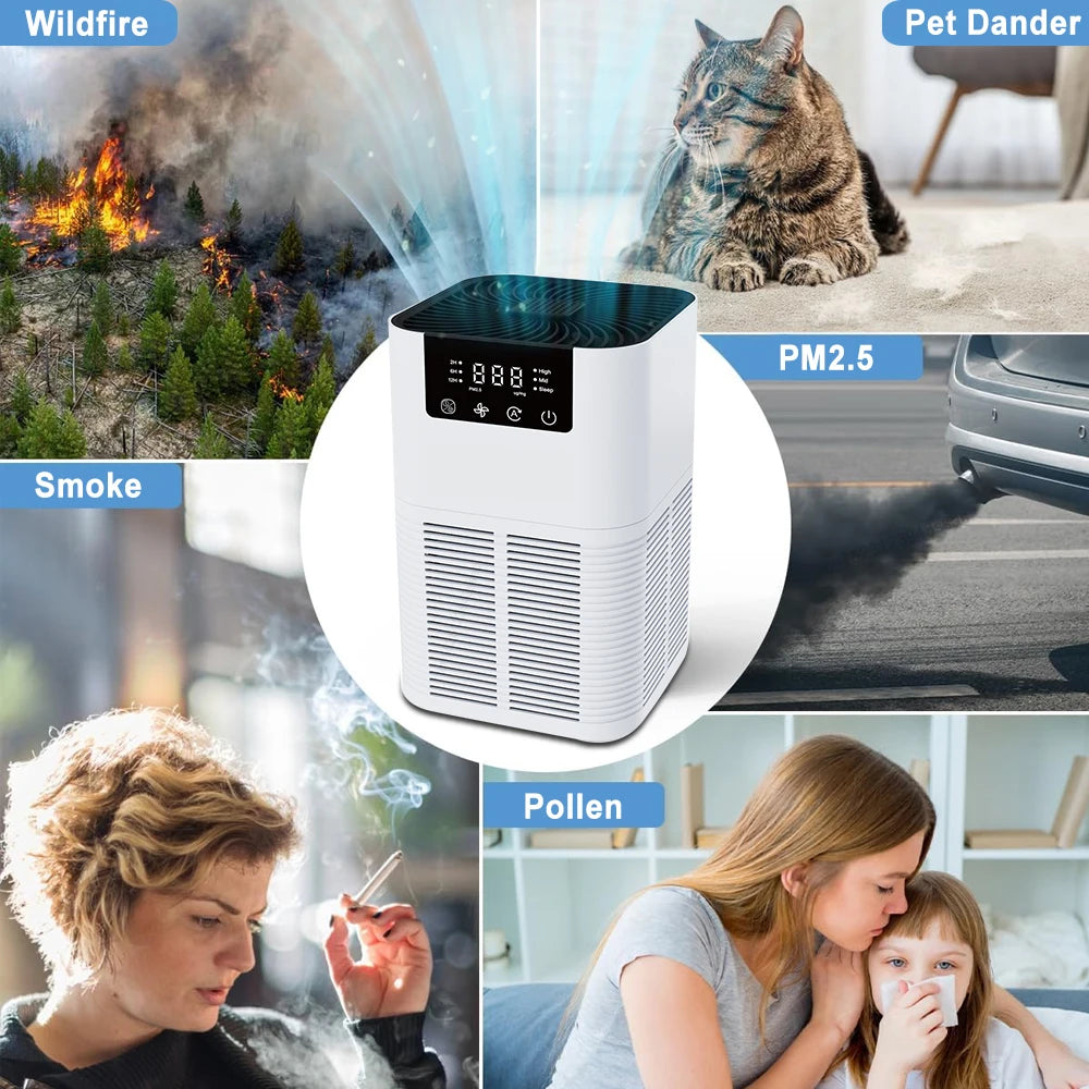 Air Purifier Smoke